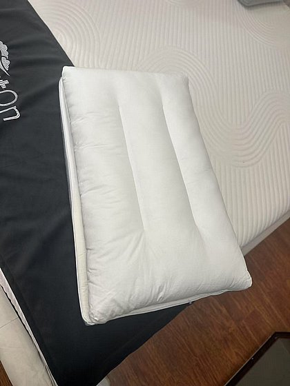 ���� ���� ��������� ������ ������ ���� �������